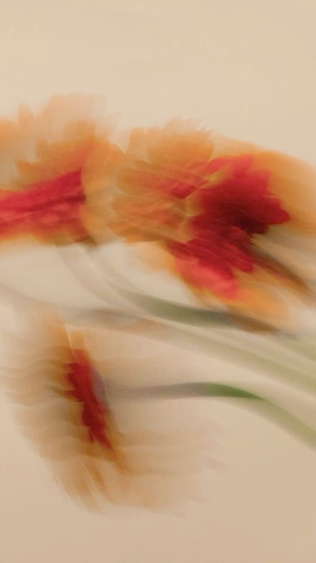 Daily attention autopsy